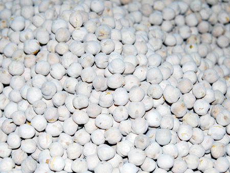 beyaz-leblebi Beyaz Leblebi - Dokme / White Roasted Chick Peas - Bulk - Image 1