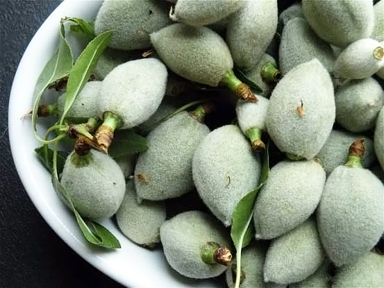 cagla_meyvesi Cagla / Fresh Almond Fruit - 1 LB - Image 1
