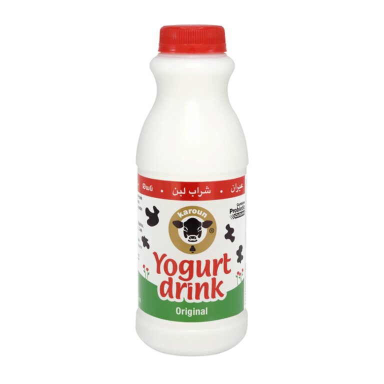 Karoun Ayran / Yogurt Drink – 473 ml